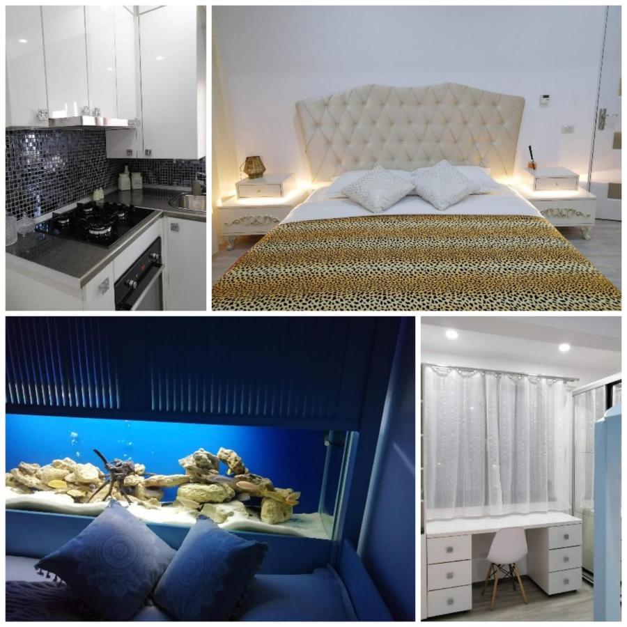 Nemo Apartment Năvodari Eksteriør bilde